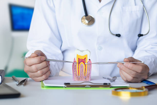 Best Cosmetic Emergency Dentistry in Bellwood, IL